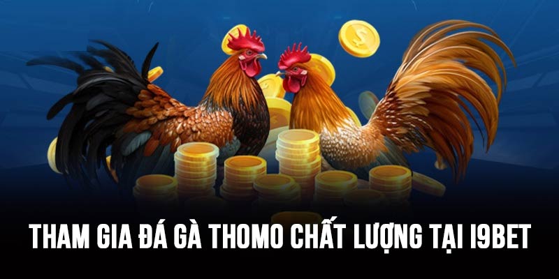 đá gà thomo